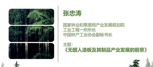 無醛人造板及其制品 團(tuán)體標(biāo)準(zhǔn)修訂工作啟動(dòng)會(huì)成功召開